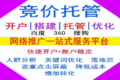 SEM推广代运营公司：实战案例解析